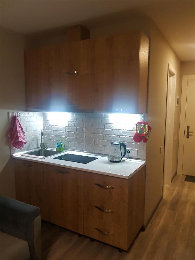 New Gudauri Loft 2 - "Mano", Near Ski Lift Gondola Buitenkant foto